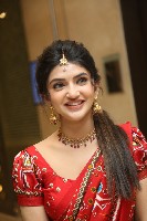 Sreeleela Half Saree Photos